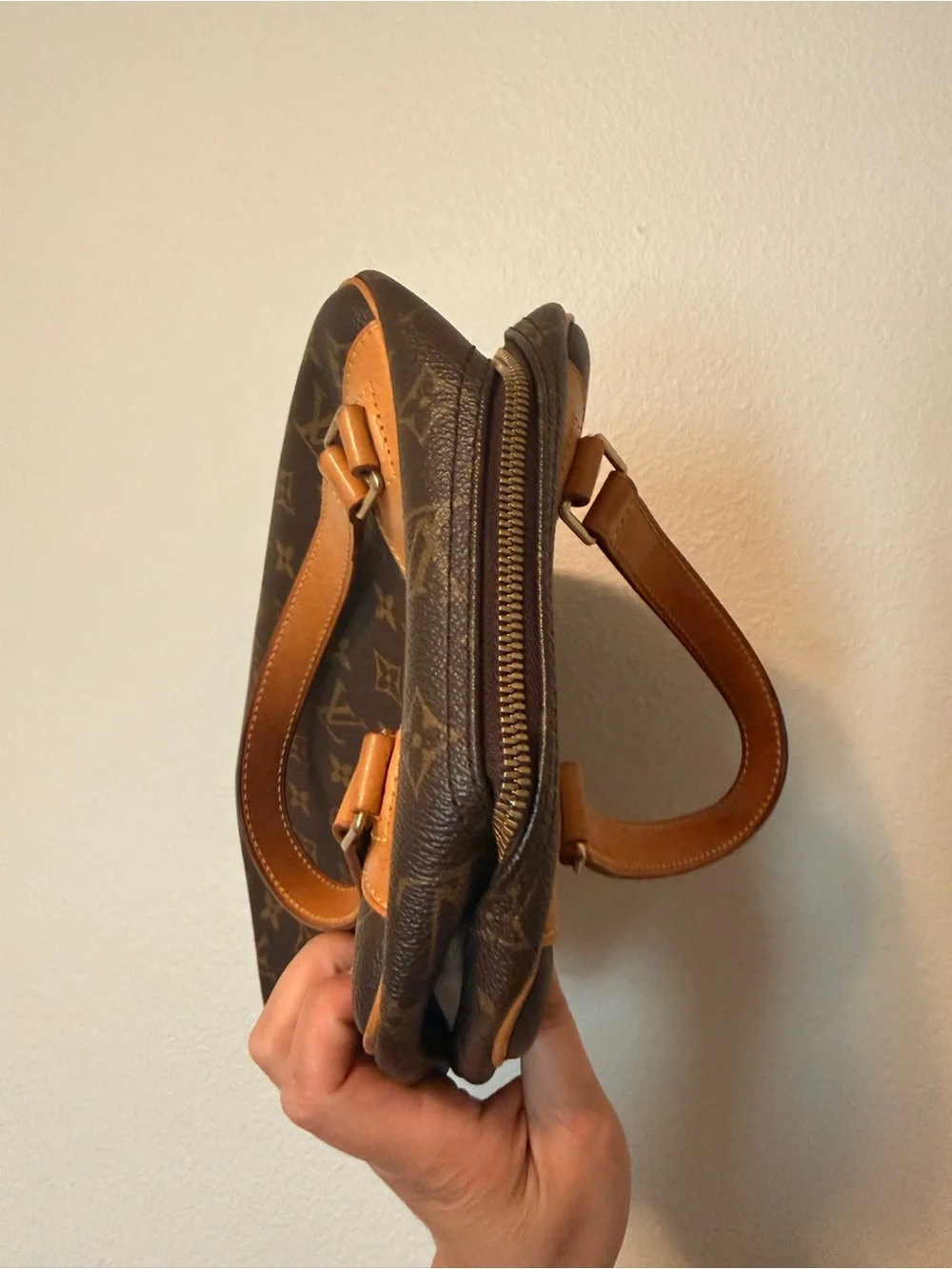 Louis Vuitton Monogram Excursion Shoe Bag